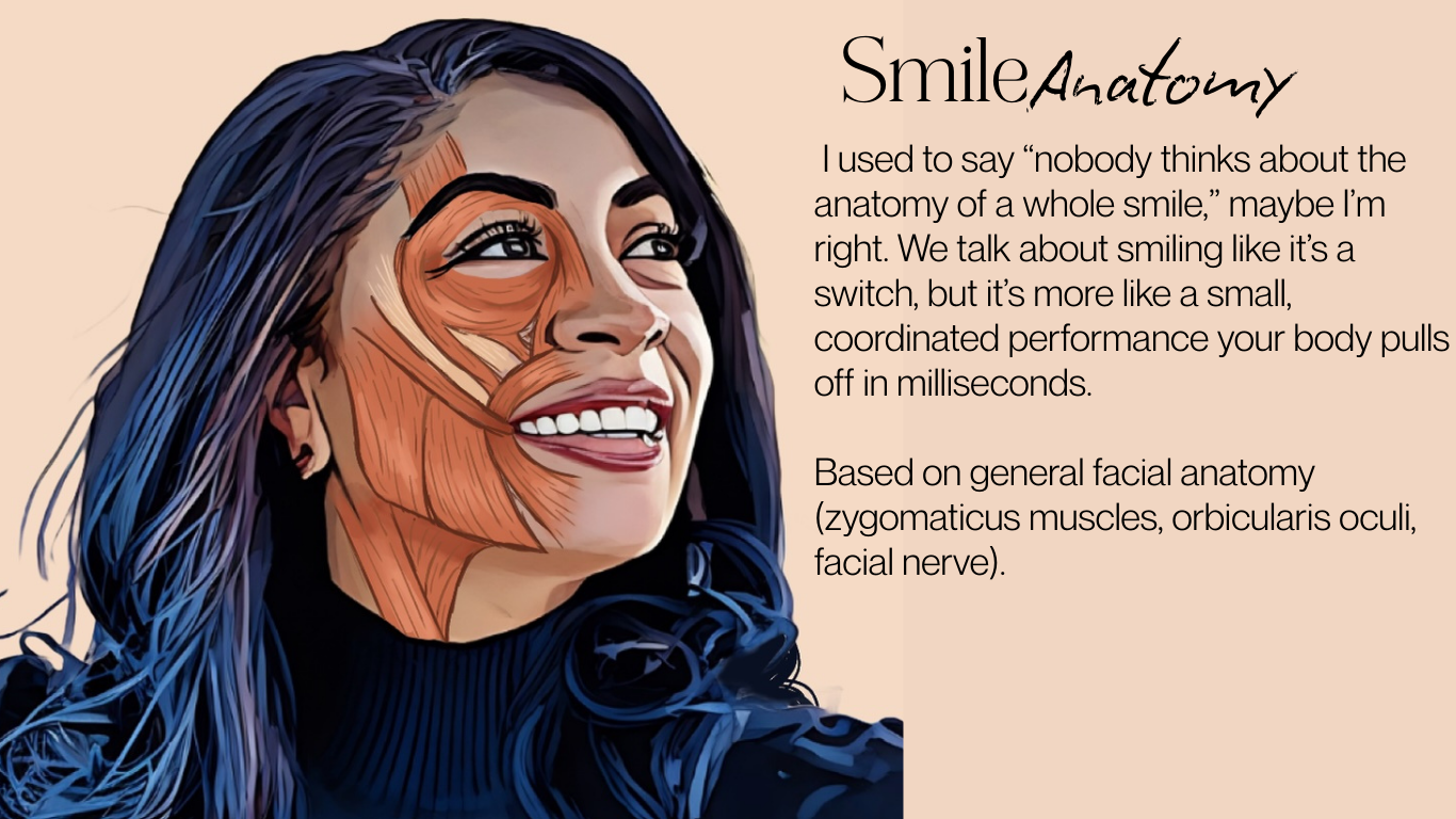 Structure Involved In Smiling Smile Anatomy
